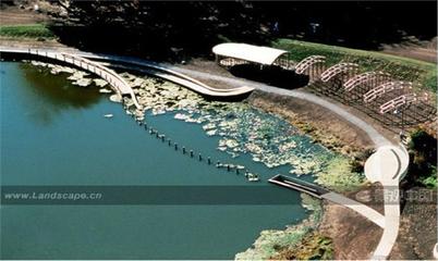 瑪麗密斯:世界女性景觀設(shè)計(jì)師--藝術(shù)行者